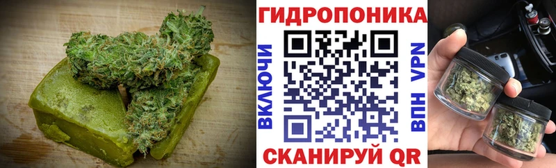 Купить  Козловка  Canna-Cookies марихуана 