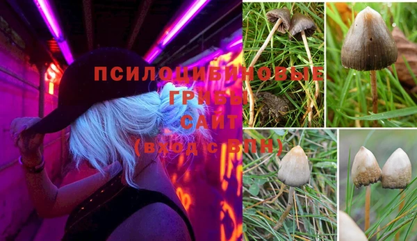 мдпв Баксан