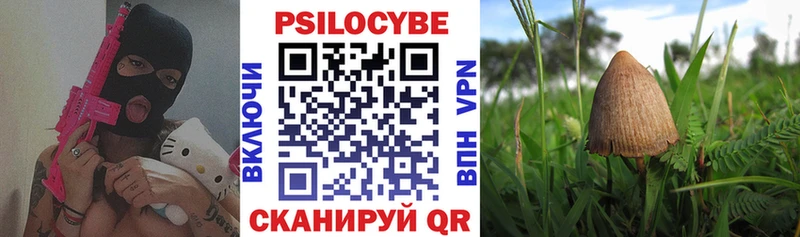 Купить где  Козловка  Галлюциногенные грибы Psilocybine cubensis 